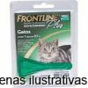 Frontline Plus para gatos